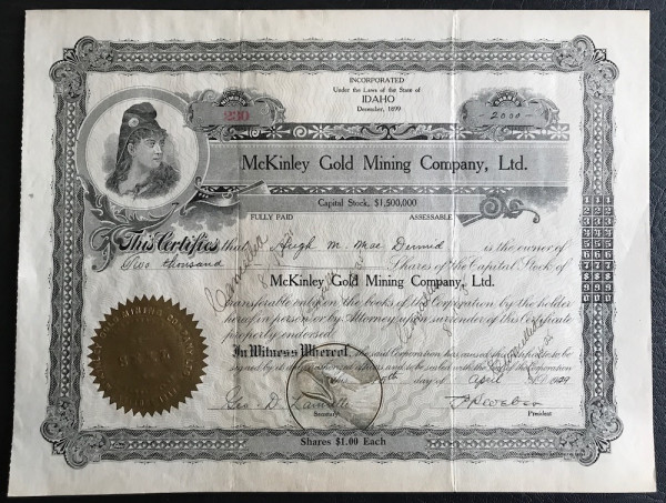 McKinley Gold Mining